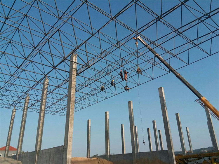 邓州加气站钢结构网架案例10